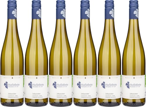 Hoflößnitz Johanniter - Radebeuler Johannisberg 2023 Trocken Ecovin Bio (6 x 0.75 l) von WirWinzer