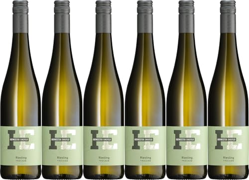 Hofmeister & Einsfeld Riesling Alsheimer Rheinblick 2023 Trocken (6 x 0.75 l) von WirWinzer