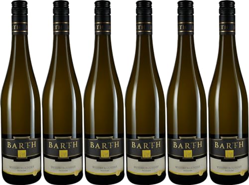 Holger Barth Weissburgunder 2022 Feinherb (6 x 0.75 l) von WirWinzer