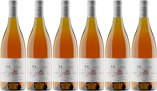 Iuppa Angelo Ata Rosato Etna DOC 2022 Trocken (6 x 0.75 l) von WirWinzer