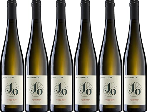 Johanninger Biebelsheimer Kieselberg Riesling 2020 Trocken Bio (6 x 0.75 l) von WirWinzer