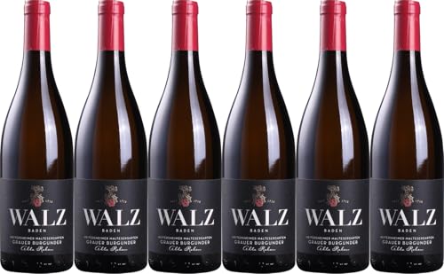 Josef Walz Maltesergarten Grauer Burgunder 2021 Trocken Bio (6 x 0.75 l) von WirWinzer