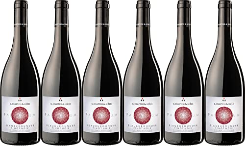 K. Martini & Sohn Blauburgunder Palladium Alto Adige DOC 2022 Trocken (6 x 0.75 l) von WirWinzer