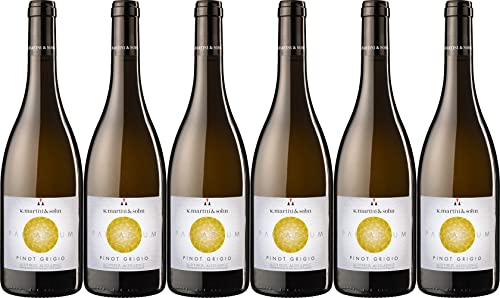 K. Martini & Sohn Pinot Grigio Palladium Alto Adige DOC 2023 Trocken (6 x 0.75 l) von WirWinzer