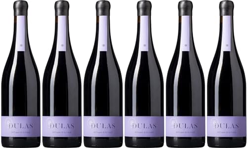 Lagar de la Salud Dulas Tinto Americano 2022 Trocken (6 x 0.75 l) von WirWinzer