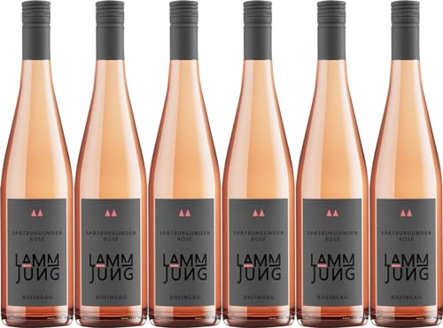 Lamm-Jung Spätburgunder Rosé 2023 Feinherb (6 x 0.75 l) von WirWinzer