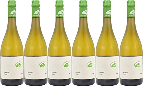 Laudens Bach Flurwerk Silvaner 2023 Trocken Bioland Bio (6 x 0.75 l) von WirWinzer