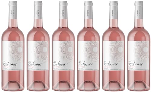 Les Caves Henri de Richemer Richemer Syrah Rosé Pays d'Oc IGP 2024 Trocken (6 x 0.75 l) von WirWinzer