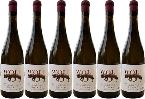 Marco Wolf Pinot nero rosè Trentino DOC 2023 Trocken (6 x 0.75 l) von WirWinzer