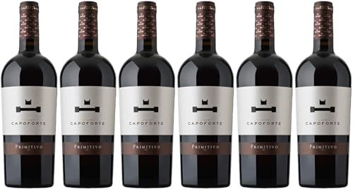 Masseria Capoforte Primitivo Salento IGP 2020 Trocken (6 x 1.5 l) von WirWinzer