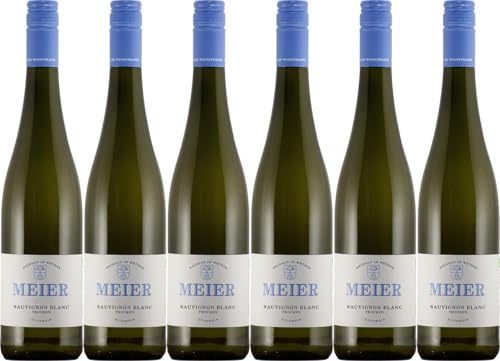 Meier Sauvignon Blanc 2023 Trocken Bioland Bio (6 x 0.75 l) von WirWinzer