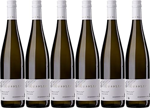 Mussler Riesling 2023 Trocken (6 x 0.75 l) von WirWinzer