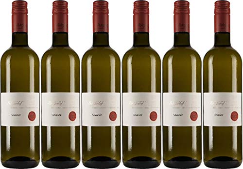 Patrizierhof Silvaner 2023 Trocken Naturland Bio (6 x 0.75 l) von WirWinzer