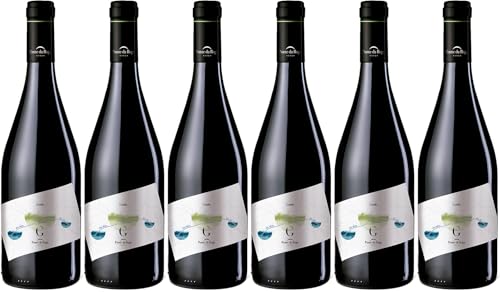 Ponte da Boga Ponte da Boga Godello G Ribeira Sacra DO 2023 Trocken (6 x 0.75 l) von WirWinzer