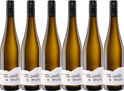 Schäfer-Heinrich Riesling Kabinett * 2023 Trocken Ecovin Bio (6 x 0.75 l) von WirWinzer