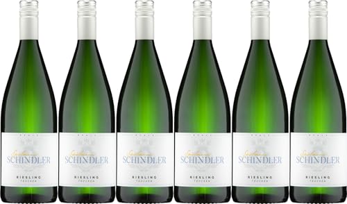 Spielmann-Schindler Riesling 2023 Trocken (6 x 1.0 l) von WirWinzer