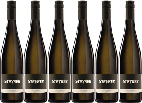 Steyrer Grüner Veltliner Traisental Ried Point DAC 2023 Trocken (6 x 0.75 l) von WirWinzer