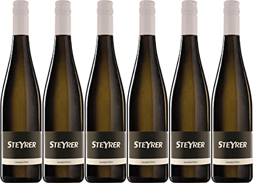 Steyrer Sauvignon blanc 2024 Trocken (6 x 0.75 l) von WirWinzer