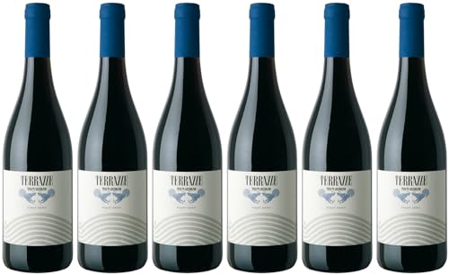 Tenuta Mazzolino Terrazze Pinot Nero Provincia di Pavia IGP 2023 (6 x 0.75 l) von WirWinzer