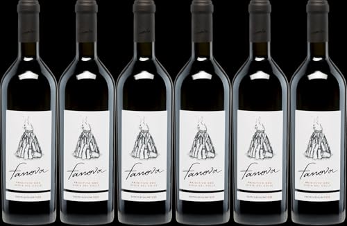 Terrecarsiche 1939 Primitivo Fanova Gioia del Colle DOC 2021 Trocken (6 x 0.75 l) von WirWinzer