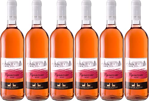 Vigna Villae in Taurasi Rosato di Aglianico Campania IGP Trocken (6 x 0.75 l) von WirWinzer