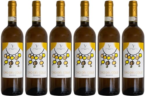 Vignudelli Wines Oro del colle Albana di Romagna DOCG 2023 Trocken (6 x 0.75 l) von WirWinzer