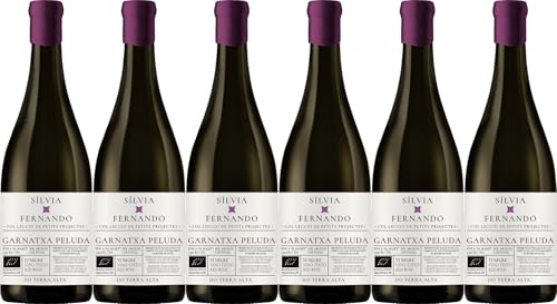 Vins Algars Sílvia*Fernando Tinto Terra Alta DO 2021 Trocken Bio (6 x 0.75 l) von WirWinzer