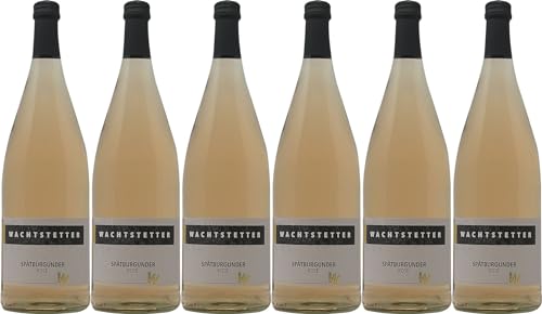 Wachtstetter Spätburgunder Rosé 2022 Halbtrocken (6 x 1.0 l) von WirWinzer