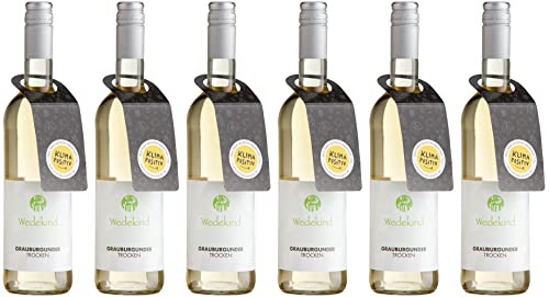 Wedekind Niersteiner Grauburgunder 2021 Trocken Ecovin Bio (6 x 0.75 l) von WirWinzer