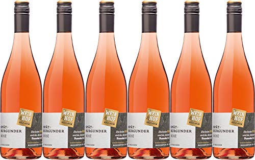 Wein & Hof Hügelheim Spätburgunder Rosé 2023 Trocken (6 x 0.75 l) von WirWinzer