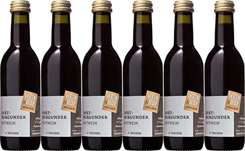 Wein & Hof Hügelheim Spätburgunder Rotwein 0,25 L 2022 Trocken (6 x 0.25 l) von WirWinzer