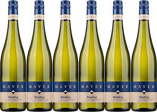 Weinhof Mayer Riesling - vom sandigen Mergel - 2023 Trocken (6 x 0.75 l) von WirWinzer