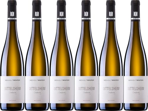 Winter DITTELSHEIM Chardonnay | VDP.Ortswein 2022 Trocken (6 x 0.75 l) von WirWinzer