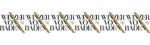 Winzer von Baden Spätburgunder Rosé 2023 Halbtrocken (6 x 0.75 l) von WirWinzer