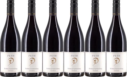 Wolfgang & René Peth Schwarzriesling 2020 Trocken (6 x 0.75 l) von WirWinzer