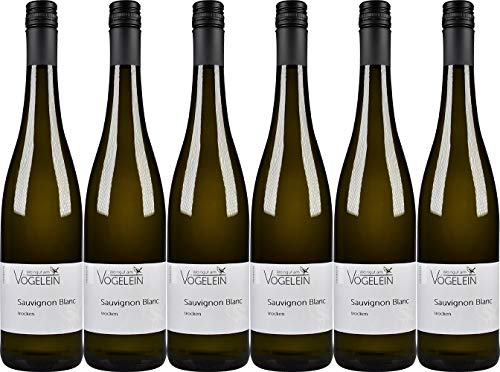 am Vögelein Sauvignon Blanc 2024 Trocken (6 x 0.75 l) von WirWinzer