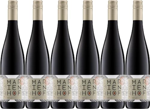 und Weinstube Marienhof Merlot 2022 Trocken Bioland Bio (6 x 0.75 l) von WirWinzer