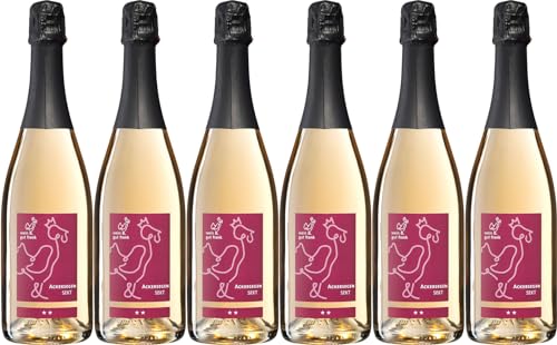 wein & gut frank ACKERSEGEN** Sekt 2020 Brut nature (naturherb) (6 x 0.75 l) von WirWinzer