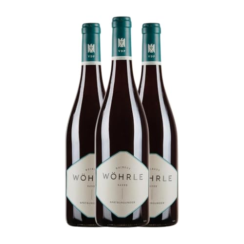 Wöhrle Blauer Spätburgunder Trocken Baden 75 cl Rotwein (Karton mit 3 Flaschen von 75 cl) von Wöhrle