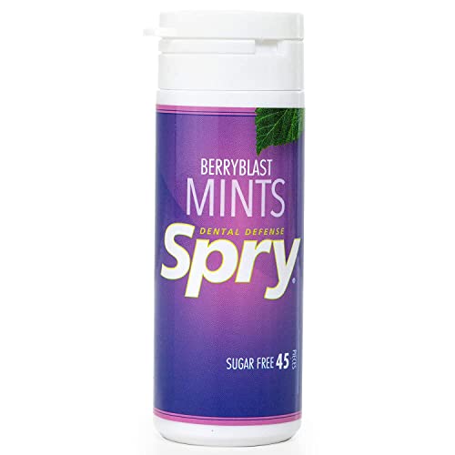 Mints with Xylitol - Berryblast - 45mints von Xlear