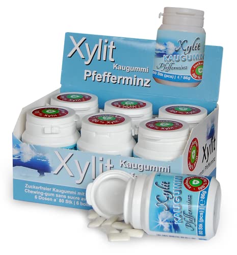 Xylitquelle Zahnpflegekaugummi PFEFFERMINZ | 6 x 80 Stk | 100% Xylit für angenehmen Atem | zuckerfrei, vegan, ohne Aspartam | 480 Kaugummis (6er Pack) von Xund Xüsst