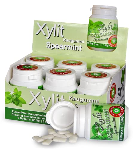 Xylitquelle Zahnpflegekaugummi SPEARMINT | 6 x 80 Stk | 100% Xylit für angenehmen Atem | zuckerfrei, vegan, ohne Aspartam | 480 Kaugummis (6er Pack) von Xund Xüsst