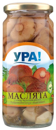 Eingelegte Pilze - Marinierte Pilze / Butterröhrlinge - YRA! 500ml von YPA!