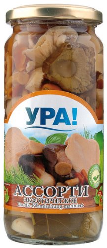 Eingelegte Pilze - Marinierte Pilze / Exotik-Mischung - YRA! 500ml von YPA!