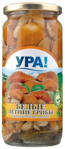 Eingelegte Pilze - Marinierte Pilze / Reisstrohpilze - YRA! 500ml von YPA!