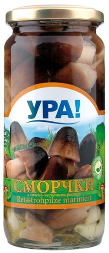 Eingelegte Pilze - Marinierte Pilze / Riesenträuschlinge- YRA! 500ml von YPA!