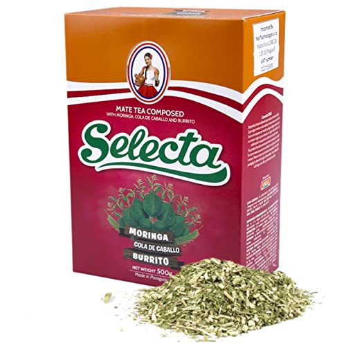 Selecta Yerba Mate Tee Moringa 0.5 kg + Geschenk Probe (40g): Reich an Antioxidantien und Vitaminen, beschleunigt den Stoffwechsel, zuckerfrei | Paraguay von Yerbox