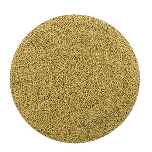 Amaranth Getrocknete Ganze Samen - Amaranthus Caudatus L. (1.5kg) von YouHerbIt