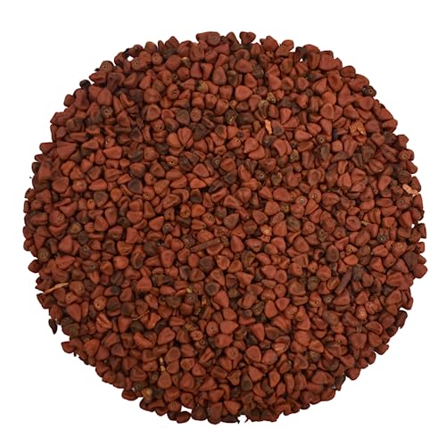 Annattosamen Getrocknete Ganze (Achiote) - Bixa Orellana L. (1.5kg) von YouHerbIt