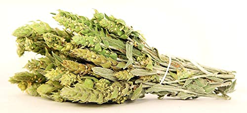 Griechischer Gebirgstee Bergtee Ganz Kräutertee - Sideritis Raeseri (300g) von YouHerbIt